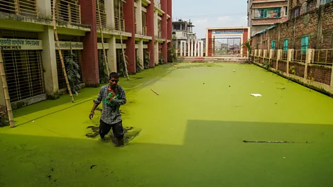 Getty Images Stagnant water following heavy rainfall provides an ideal breeding ground for mosquitoes (Credit: Getty Images)