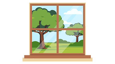 A view through a glass window to some trees
