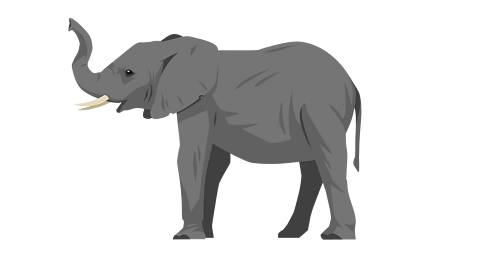 An illustration of an elephant