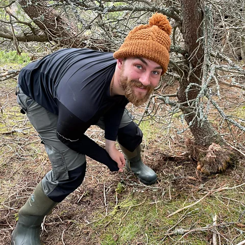 Jack Bamber Jack Bamber set up "dummy" capercaillie nests using chicken egg to see whether diversionary feeding impacted how many eggs were eaten by predators (Credit: Jack Bamber)