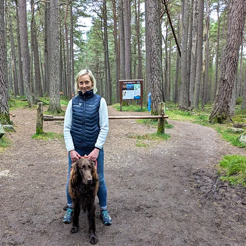 Jocelyn Timperley/ BBC Dogs disturb capercaillie far less when kept under close control – as Carolyn Robertson does with her flat-coated retriever, Mac (Credit: Jocelyn Timperley/ BBC)