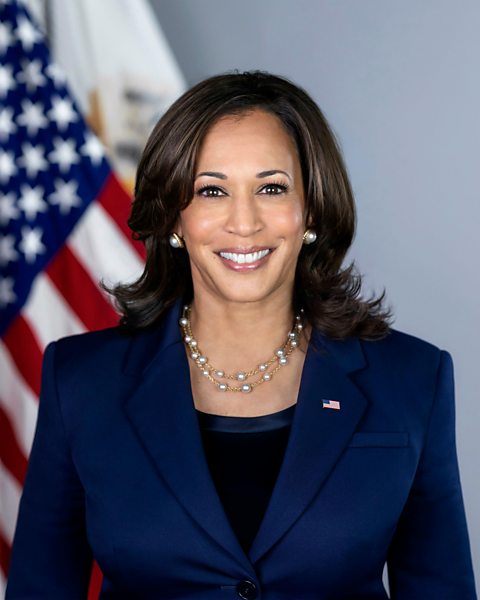 Portrait of Kamala Harris, the 49th Vice President of the United States