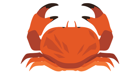 A crab