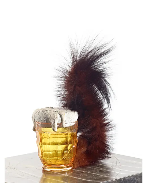 Courtesy of LEVY Gallery, Hamburg/Berlin Squirrel by Méret Oppenheim (1969) (Credit: Courtesy of LEVY Gallery, Hamburg/Berlin)