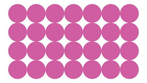 4 rows of 7 circles