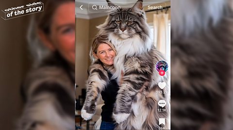 A woman holds a giant Maine Coon cat in an AI-generated image