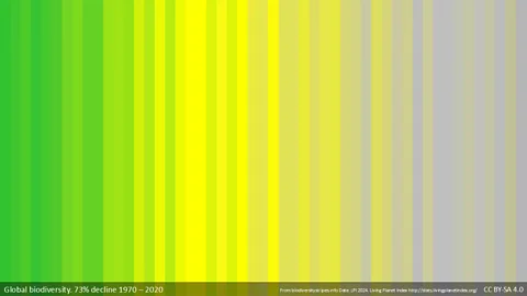 biodiversitystripes.info/LPI 2024 Bars of green, yellow and grey help to convey how biodiversity has changed between 1970 and 2020 (Credit: biodiversitystripes.info/LPI 2024)