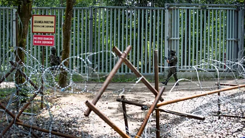 Getty Images The fence that cuts through Białowieża Forest is 116 miles (186km) long (Credit: Getty Images)