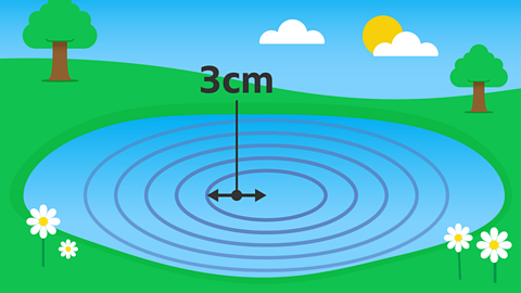 Concentric circles in a pond. The centre circle has a radius of 2cm.