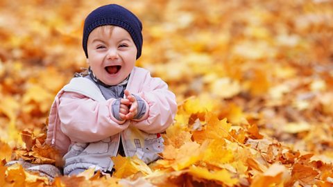 A toddler looks excitedly at the camera, surrounded by fallen autumn leaves.