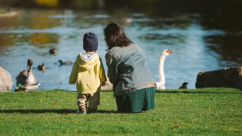 A mother and her child look at the duck pond - full of mallards and Canadian geese.