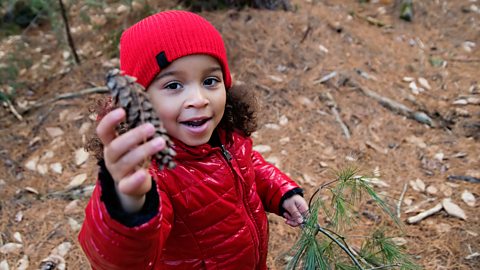 A pre-schooler in a red fluffy hat holds up a pine cone to the camera