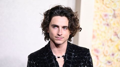 Timothée Chalamet 