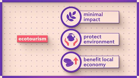 Eco tourism - causes, impact and management