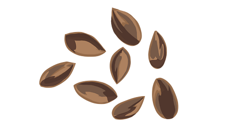 A couple of seeds