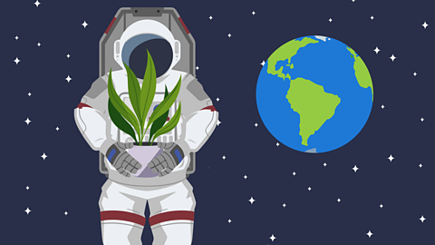 An astronaut in space holding a plant
