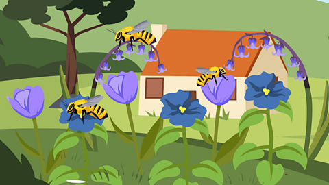 An illustration of bees pollinating flowers