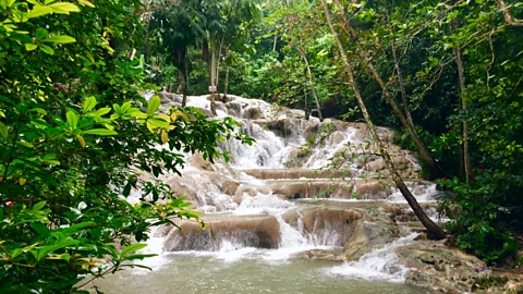 Getty Images Dunn's River Falls is a massive, flowing waterfall in Ocho Rios that can be climbed as well as admired (Credit: Getty Images)