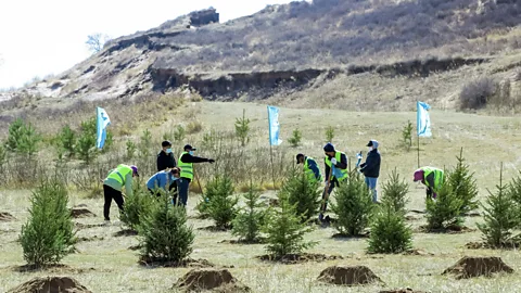 Ant Group Cheating aside, Ant Group grows real trees to match users’ efforts. Above, workers plant a forest of Picea mongolica in Chifeng, Inner Mongolia, China (Credit: Ant Group)