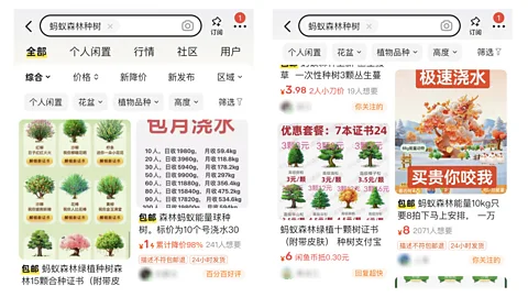 Alibaba Ant Group’s parent company runs an eBay-like platform called Xianyu. Sellers offer a variety of options for players who want to cheat on Ant Forest (Credit: Alibaba)