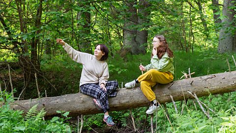 Two female teenagers hanging out together in the woods