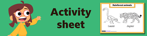 Download the activity sheet