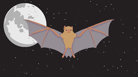 A bat flying through the night sky with the Moon behind it