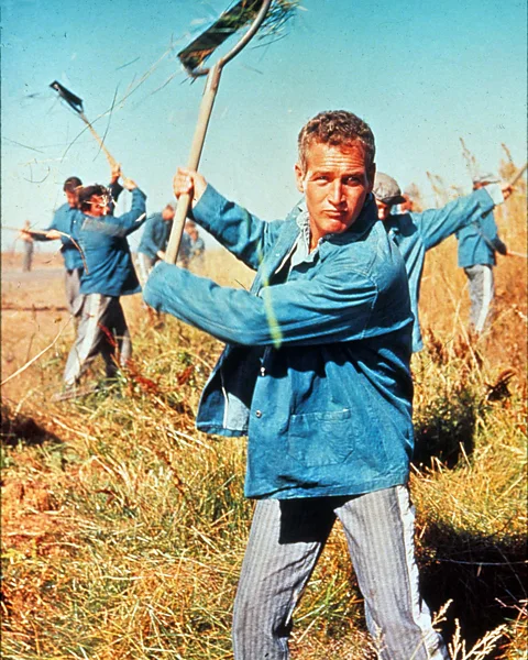 Alamy The blue chore coat, as worn by Paul Newman in Cool Hand Luke, was the origin of the term 'blue-collar worker' (Credit: Alamy)