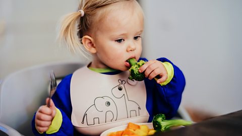 A little girl wearing a bib with an elephant and giraffe on hold a fork and takes a bite from a stalk of broccoli.