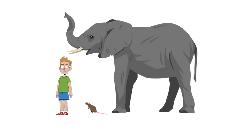 A human boy standing next to an elephant and a rat