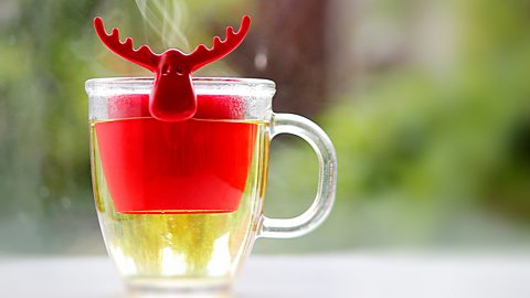 Festive - Rudolph themed tea strainer 