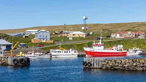 Alamy Only 20 people live on Grímsey year-round, but it's a very tight-knit community (Credit: Alamy)