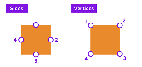 A square labelled with 4 sides and 4 vertices. 