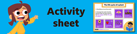 Download the activity sheet