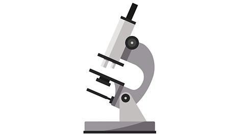 An illustration of a scientific microscope.