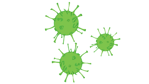 Germs