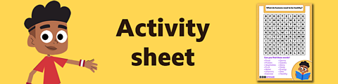 Download the activity sheet