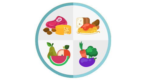 A diagram of food groups