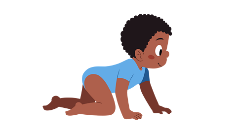 A baby crawling