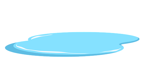 A small pool of water.