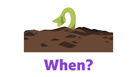 A plant sprouting from the ground with the word 'when' underneath.