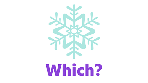 A snowflake illustration with the word 'which' underneath.