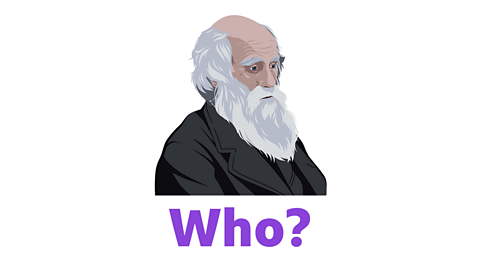 An illustration of Charles Darwin with the word 'who' underneath.