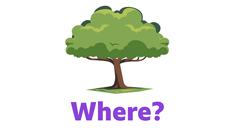 An illustration of the word 'Where?' underneath.