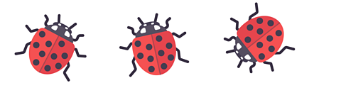 3 ladybirds, each with 10 spots