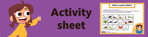 Download the activity sheet