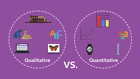 An illustration of the difference between qualitative and quantitative data.
