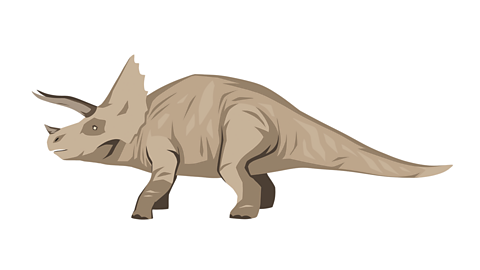 An illustration of a triceratops