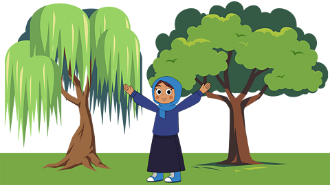 A young girl standing in front of a willow and a sycamore tree.