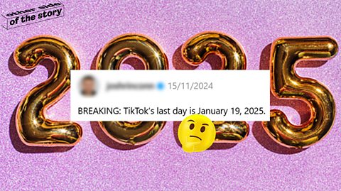 Pink 2025 image with the caption "Breaking: TikTok's last day is January 19,2025